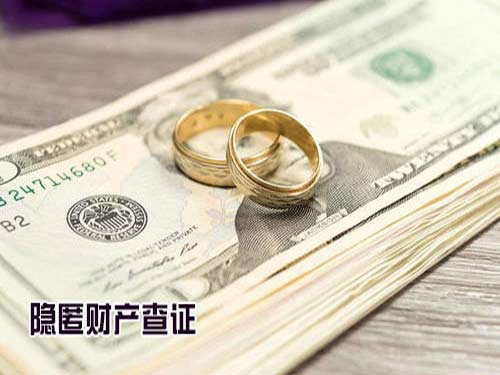 个人企业财产调查